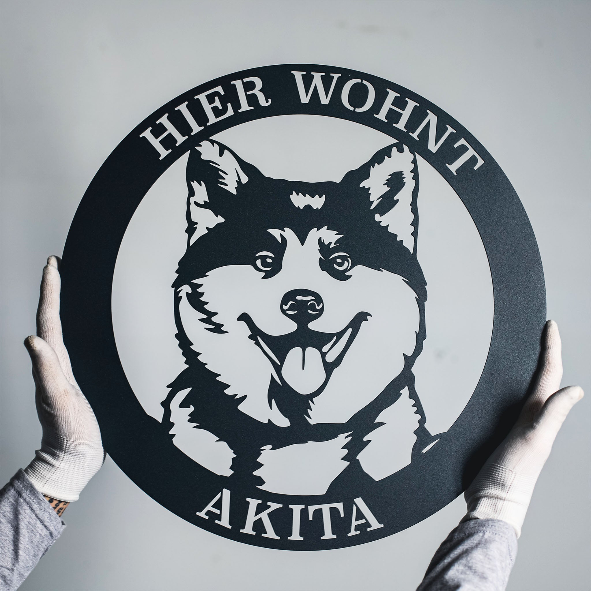 Hund im Kreis