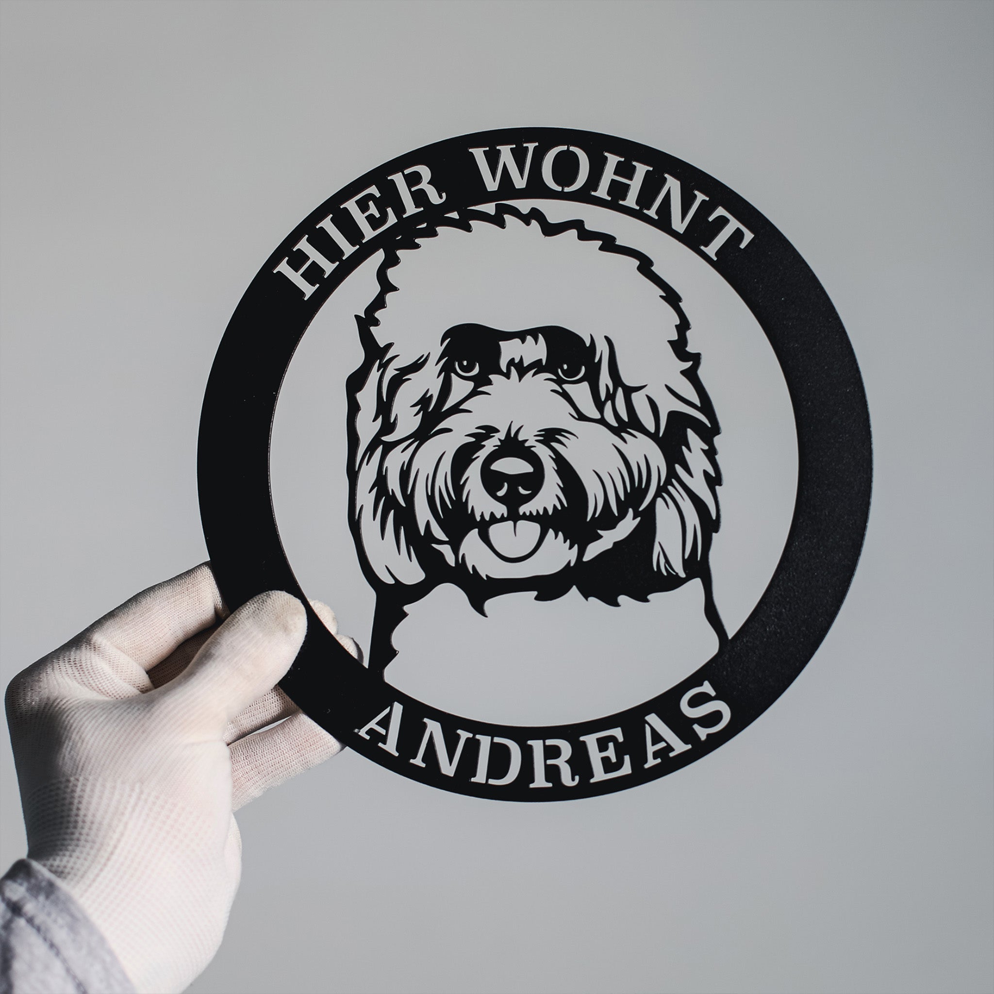 Hund im Kreis