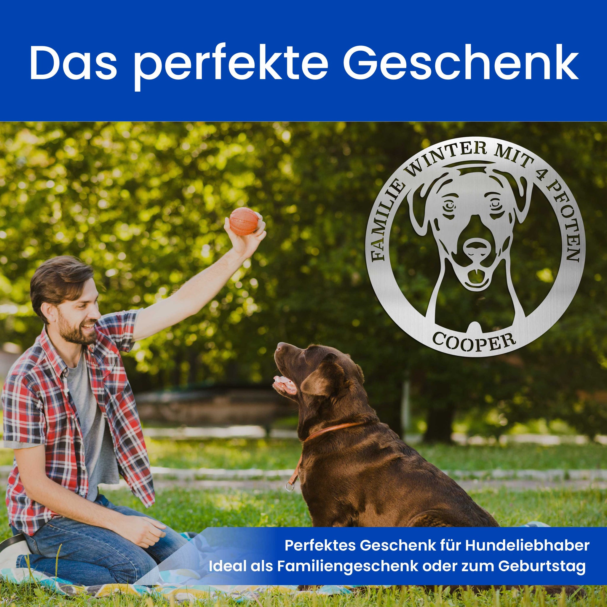 Hund im Kreis