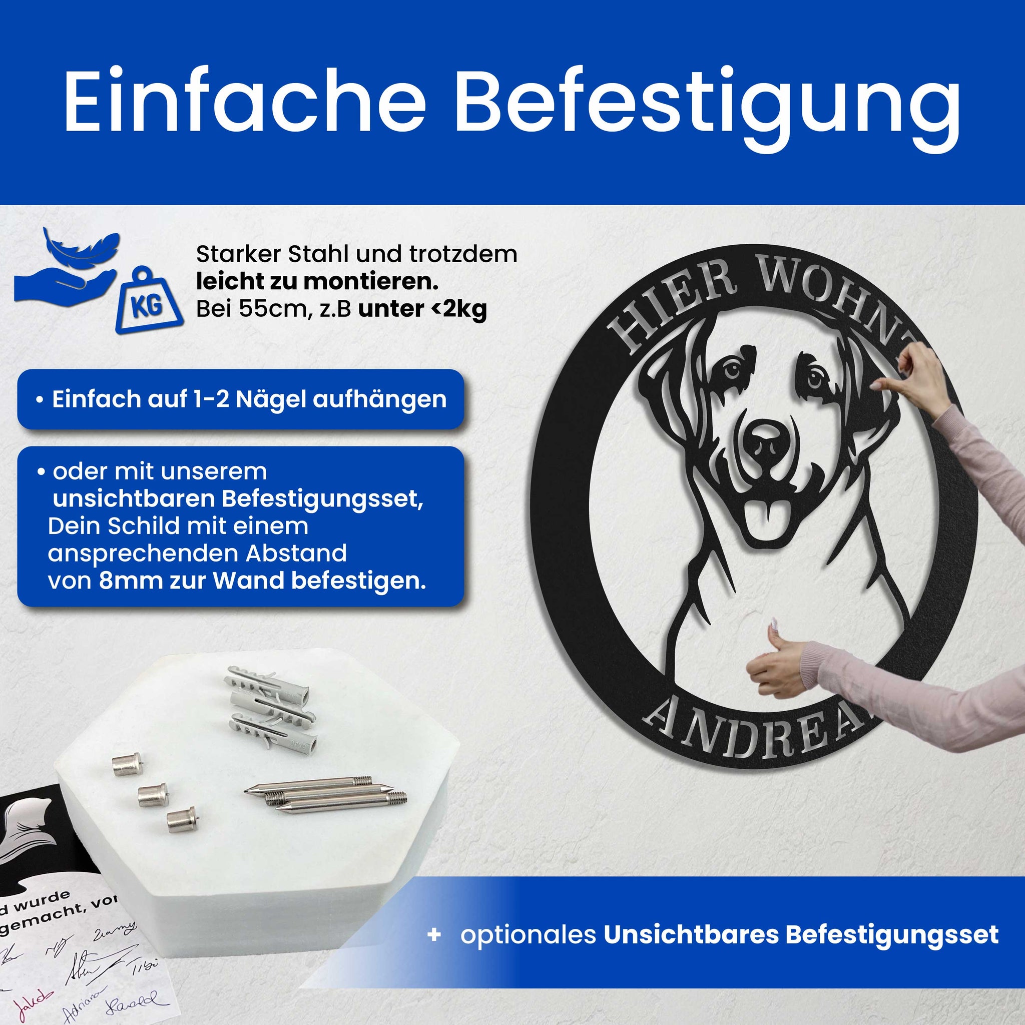 Hund im Kreis