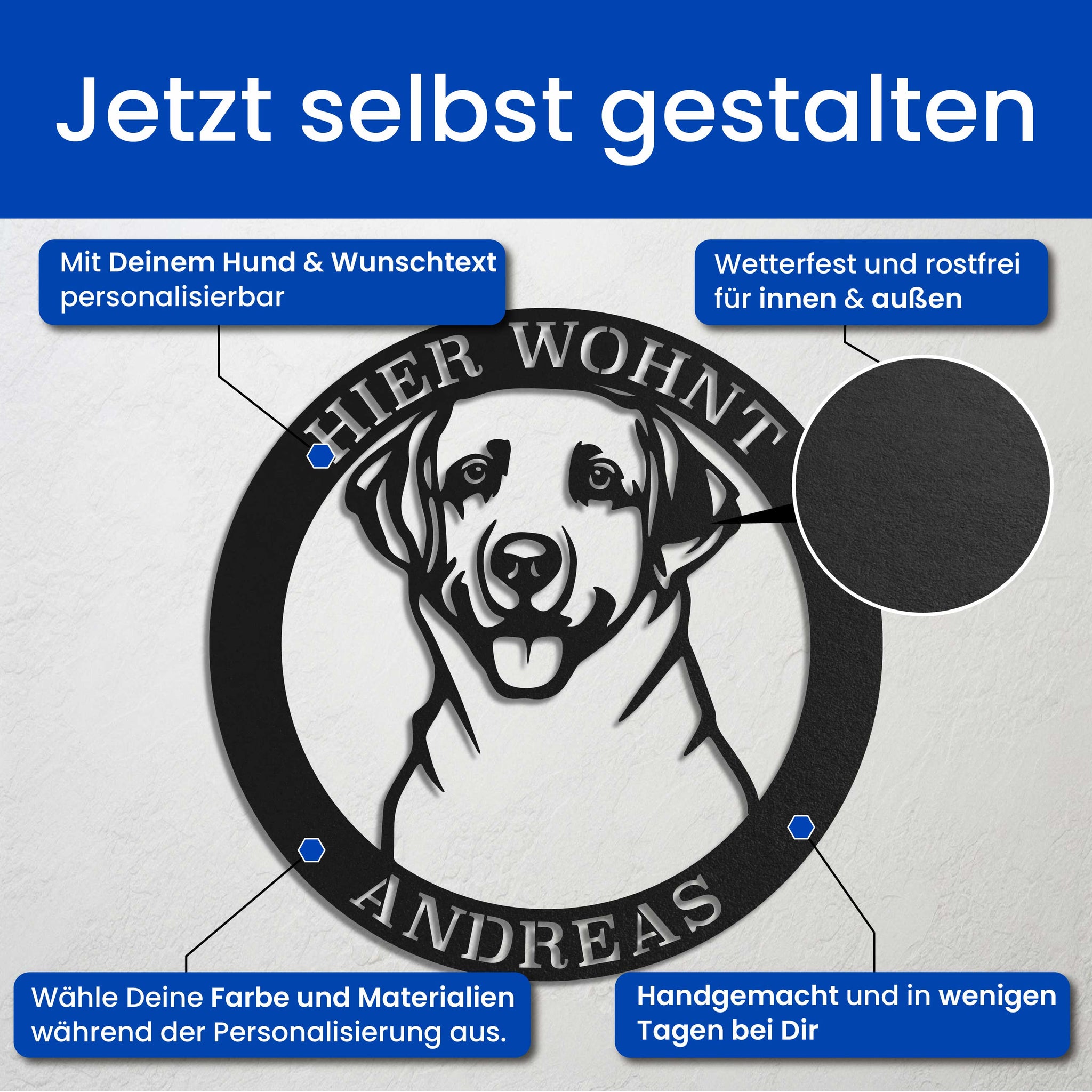 Hund im Kreis