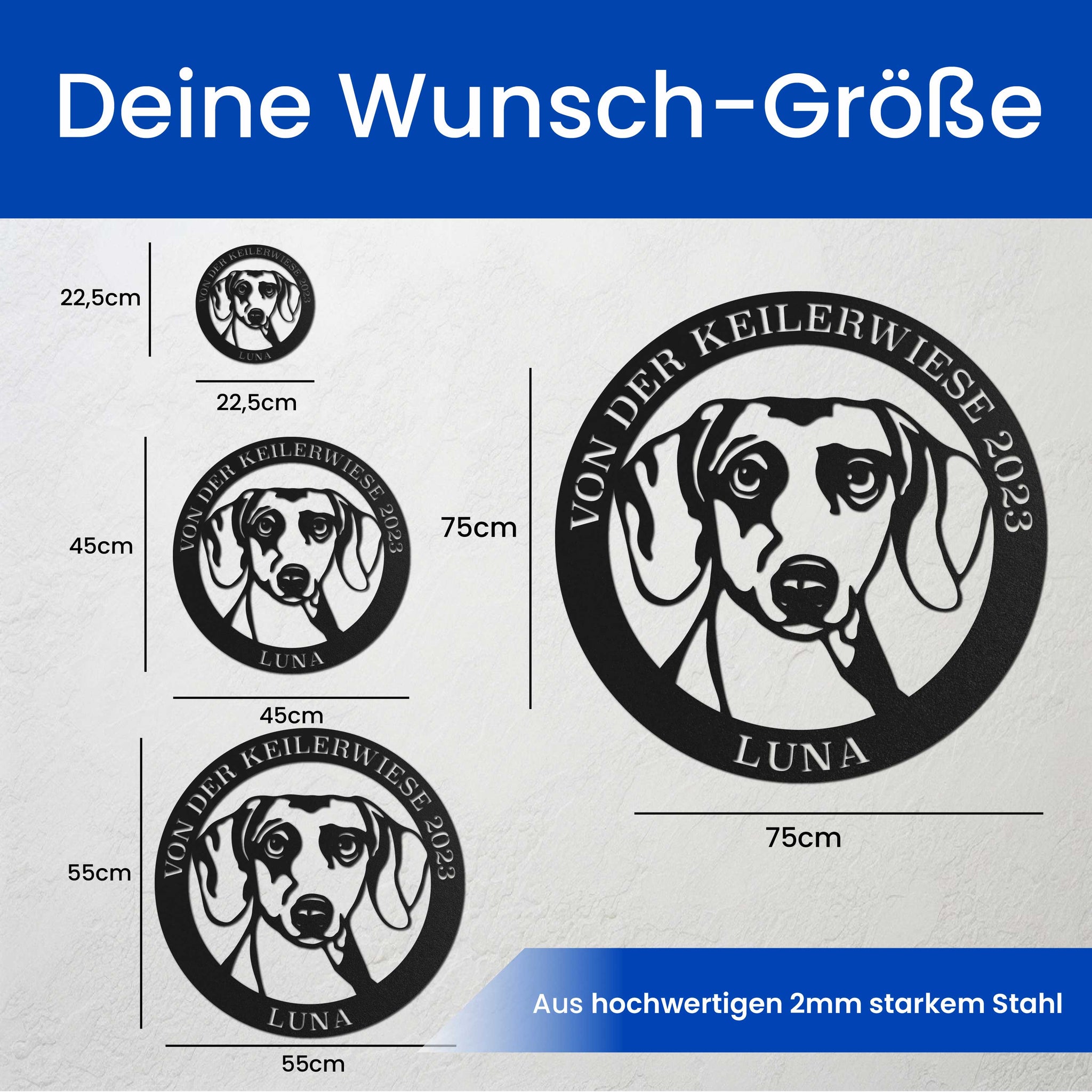 Hund im Kreis