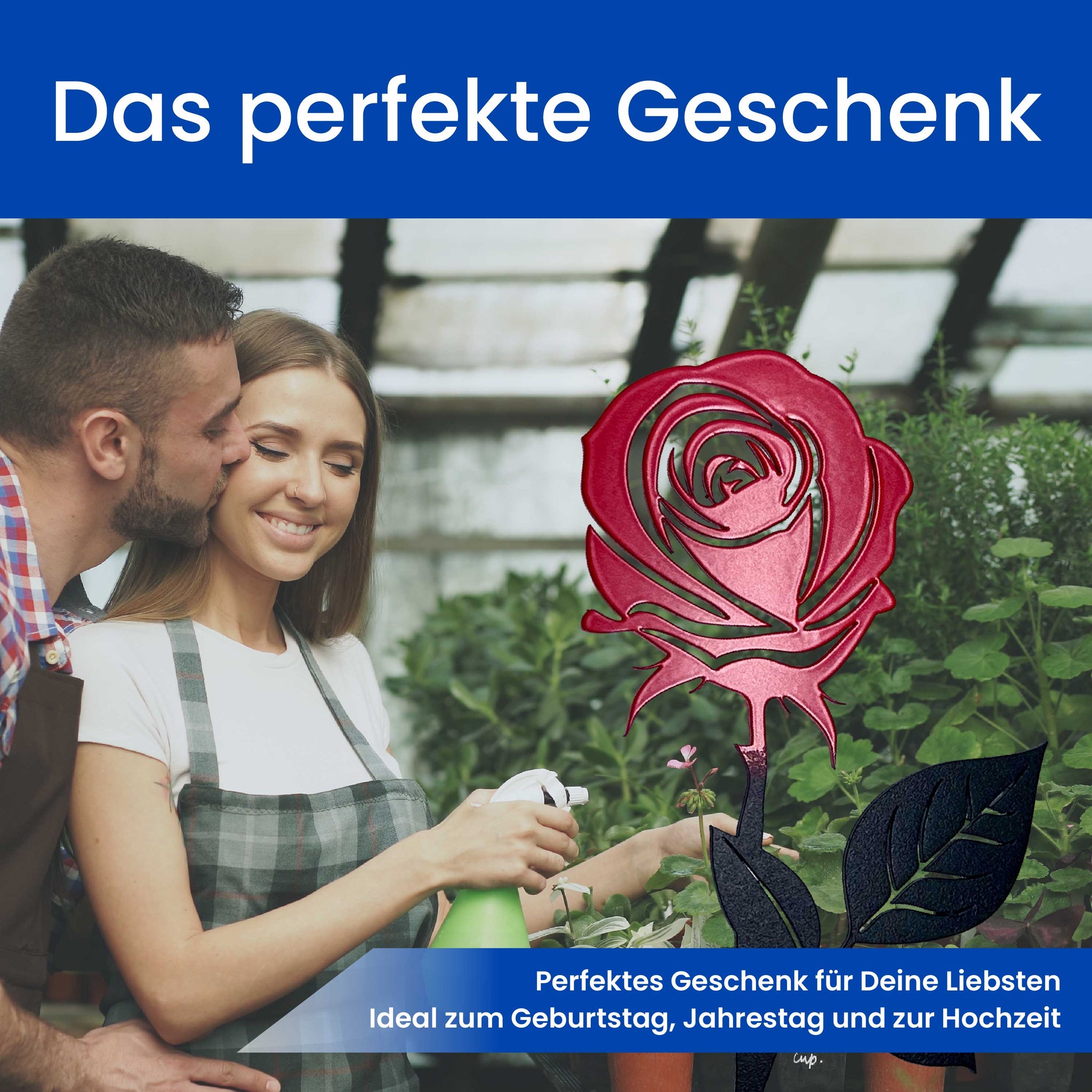 Die Rose