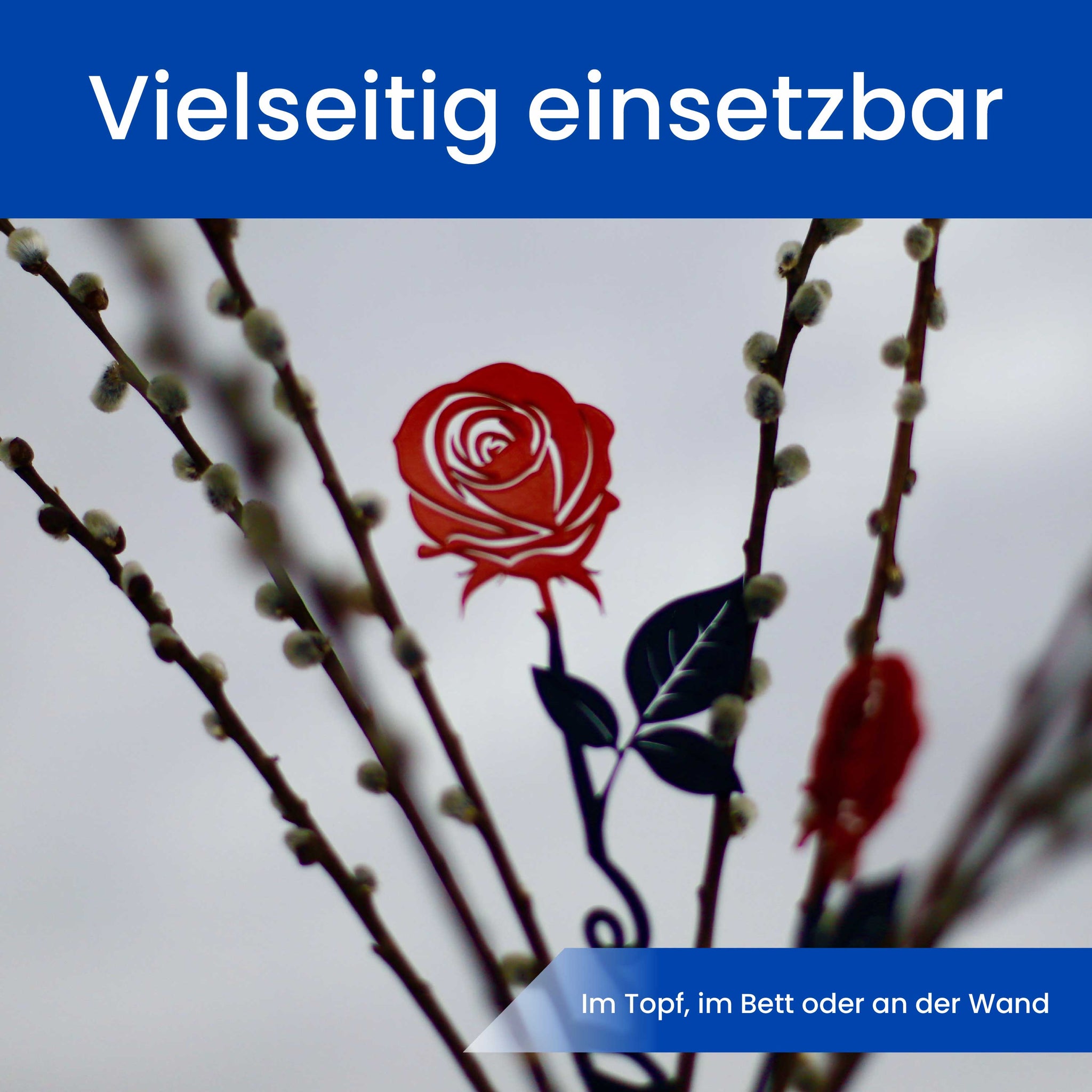 Die Rose
