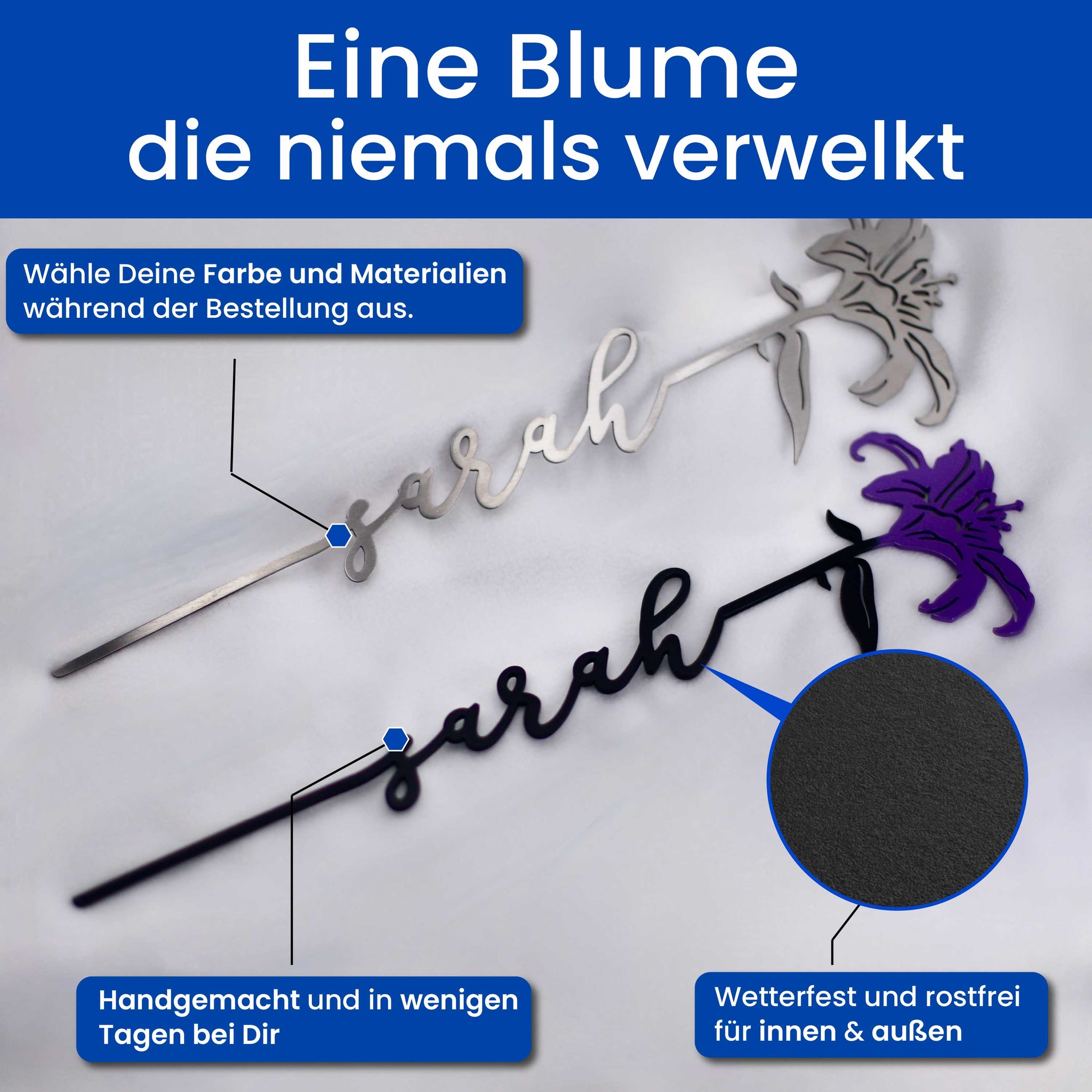 Die Lilie