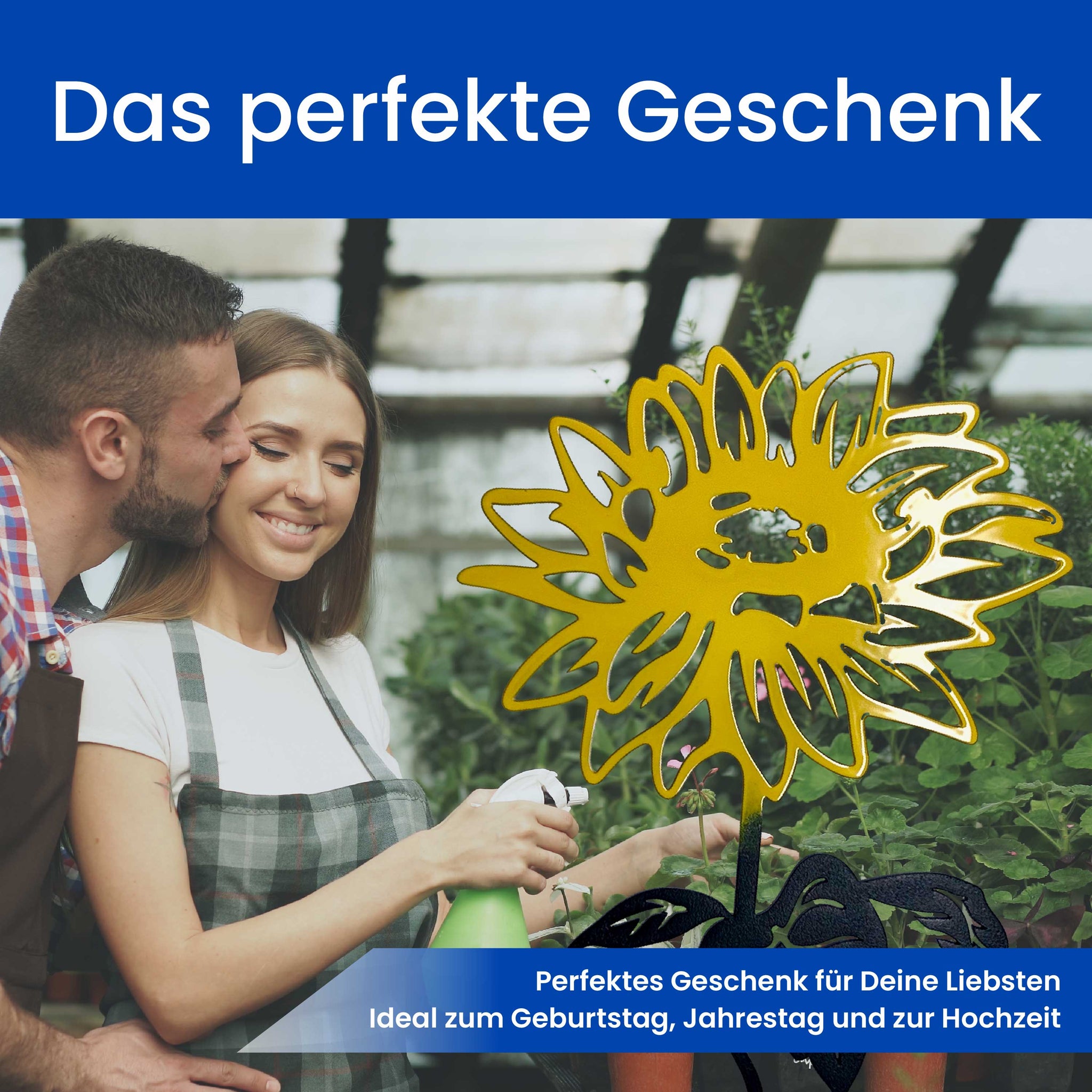 Die Sonnenblume