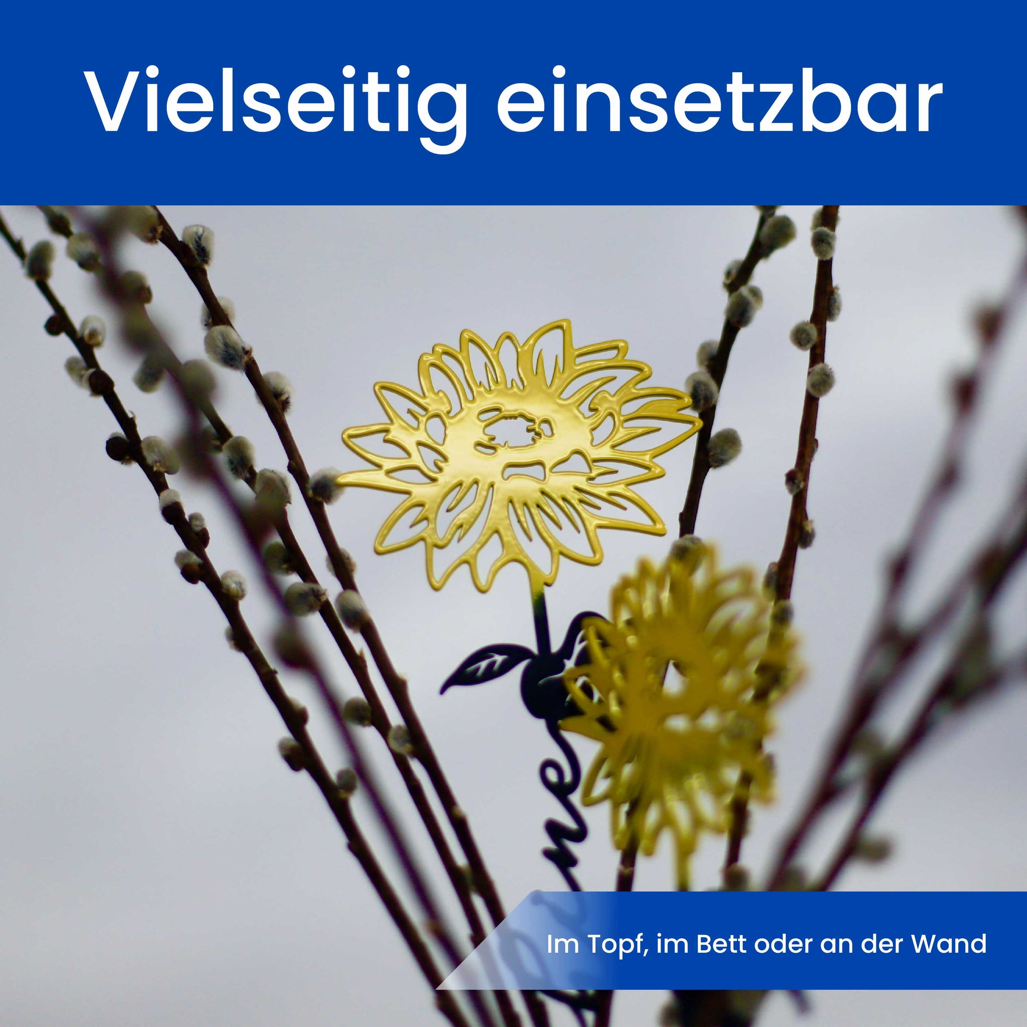 Die Sonnenblume