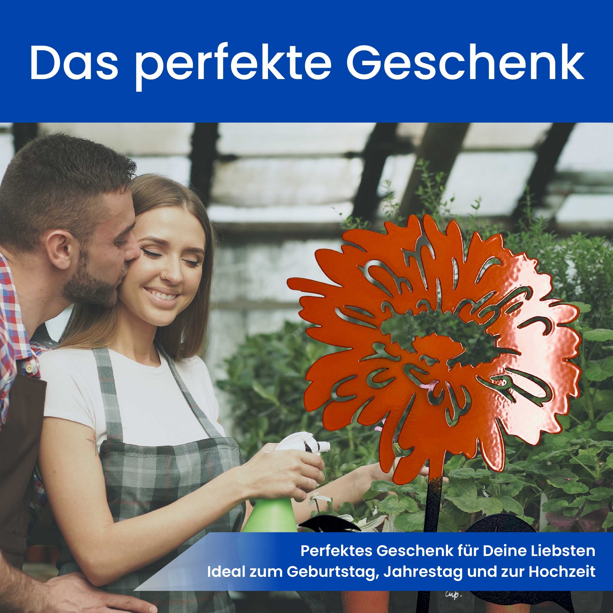 Die Gerbera