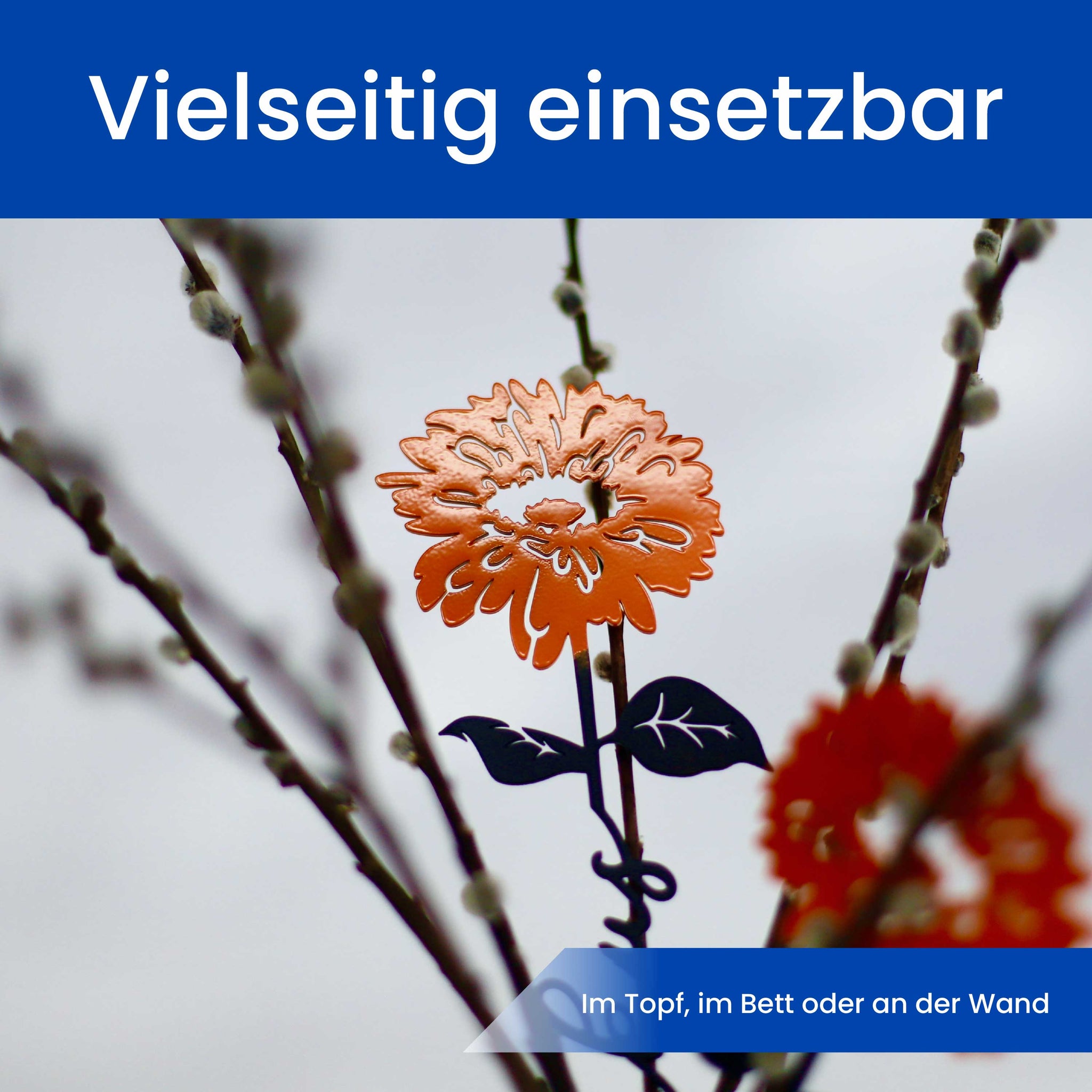 Die Gerbera