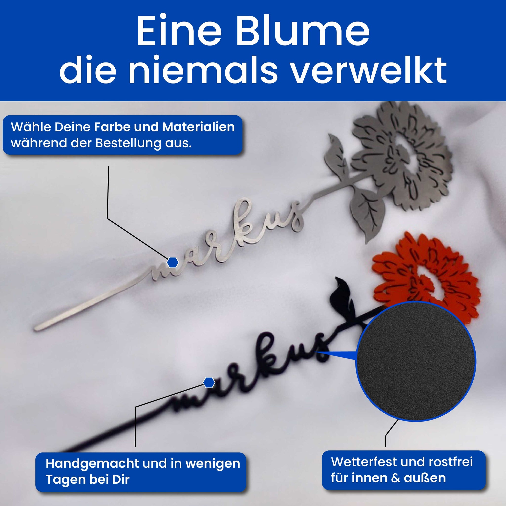 Die Gerbera
