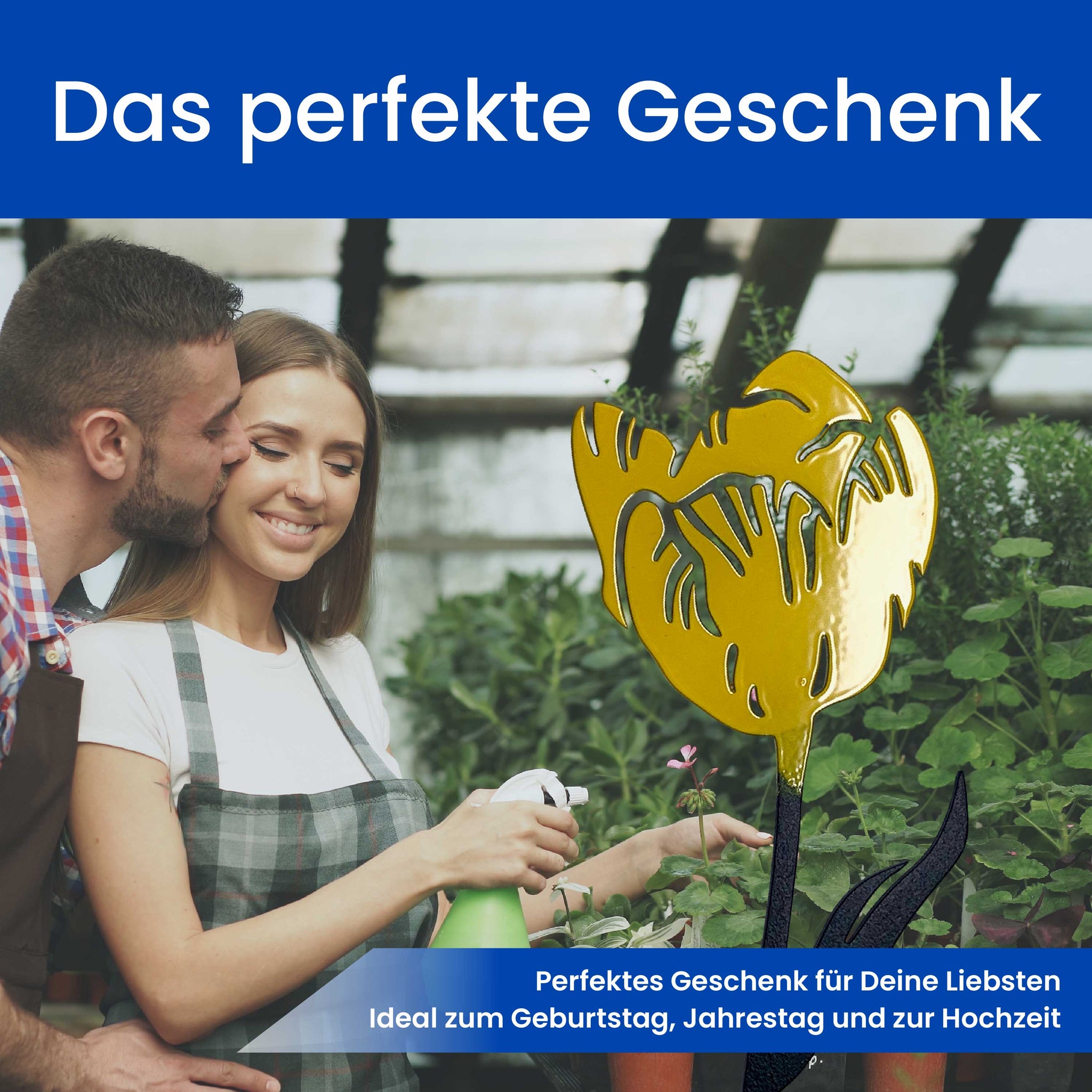Die Tulpe