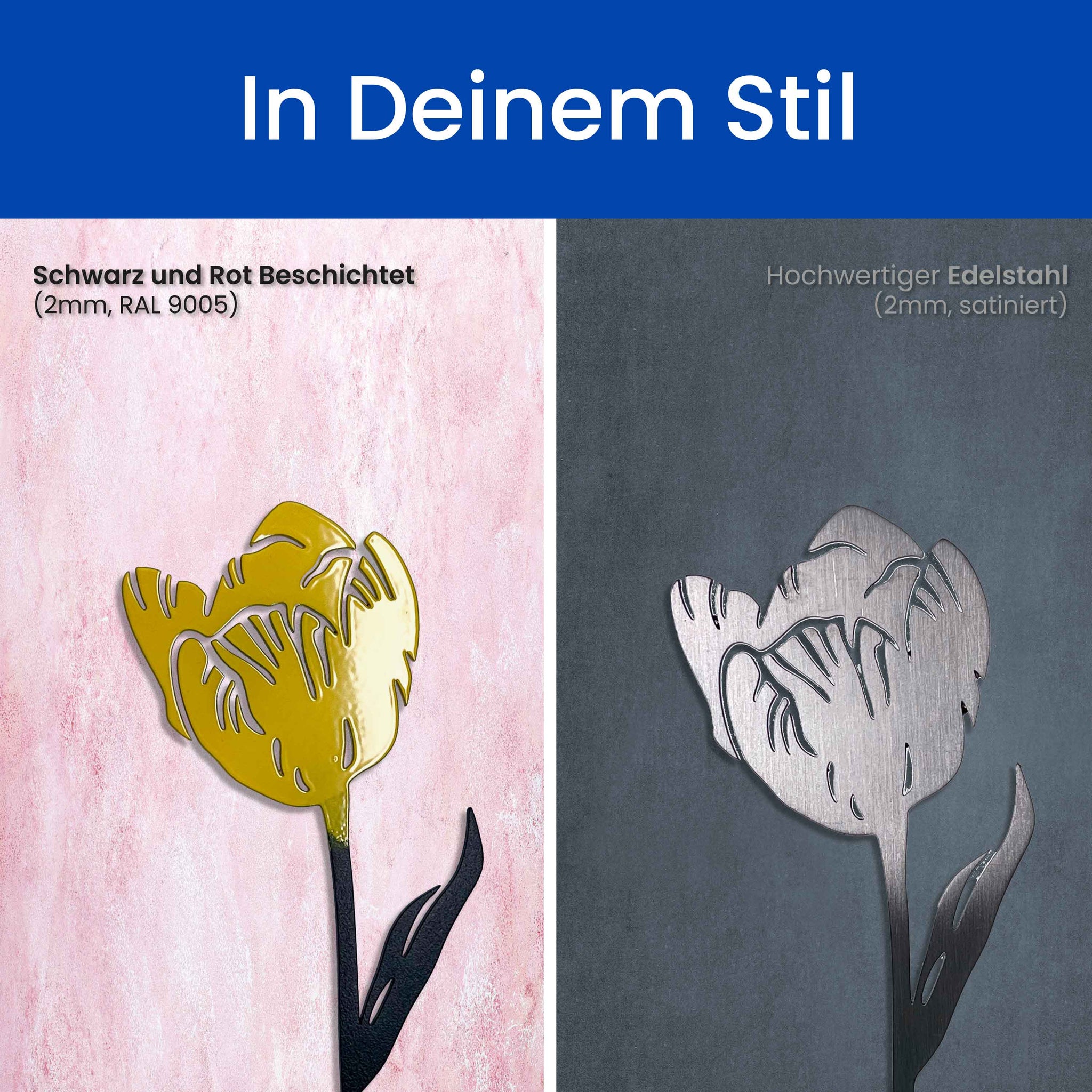 Die Tulpe