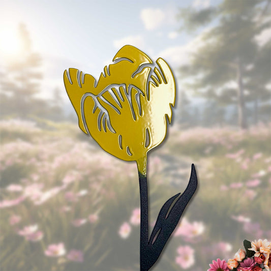 Die Tulpe