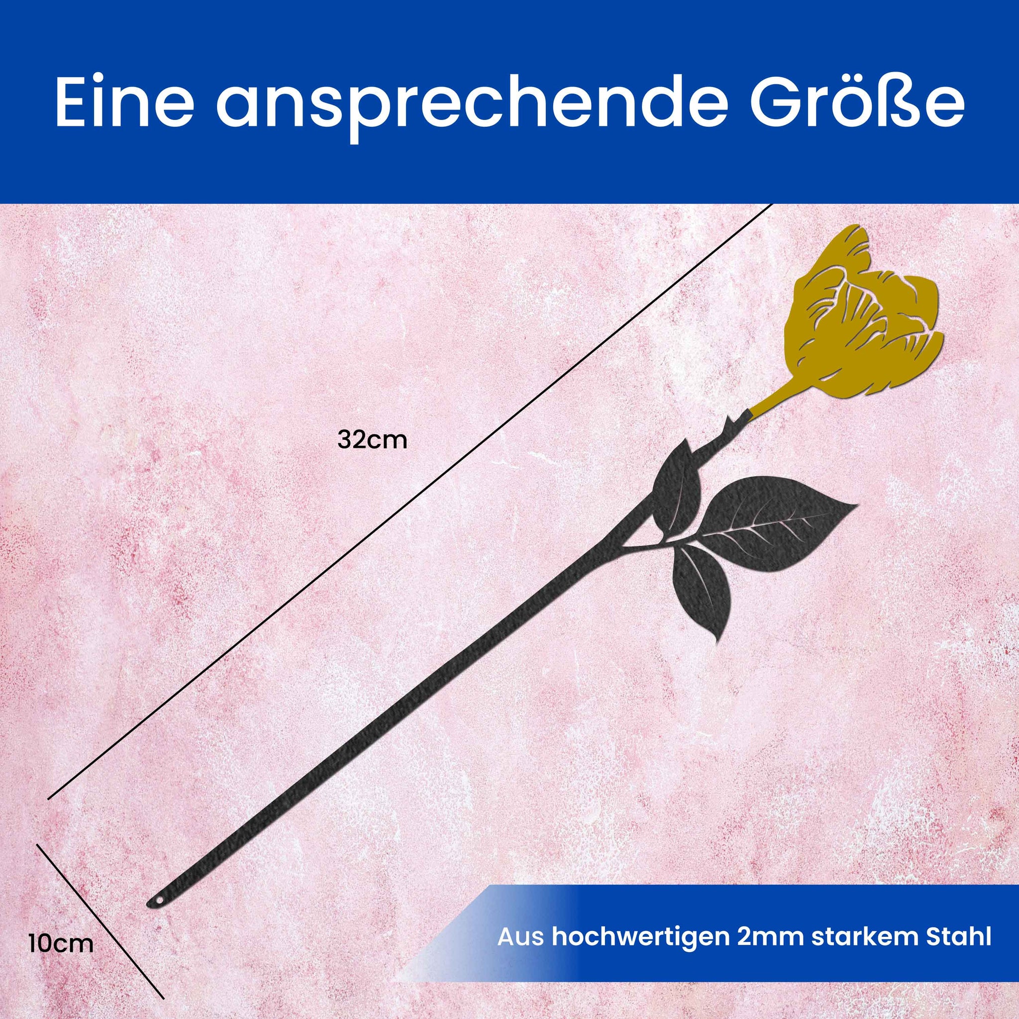 Die Tulpe