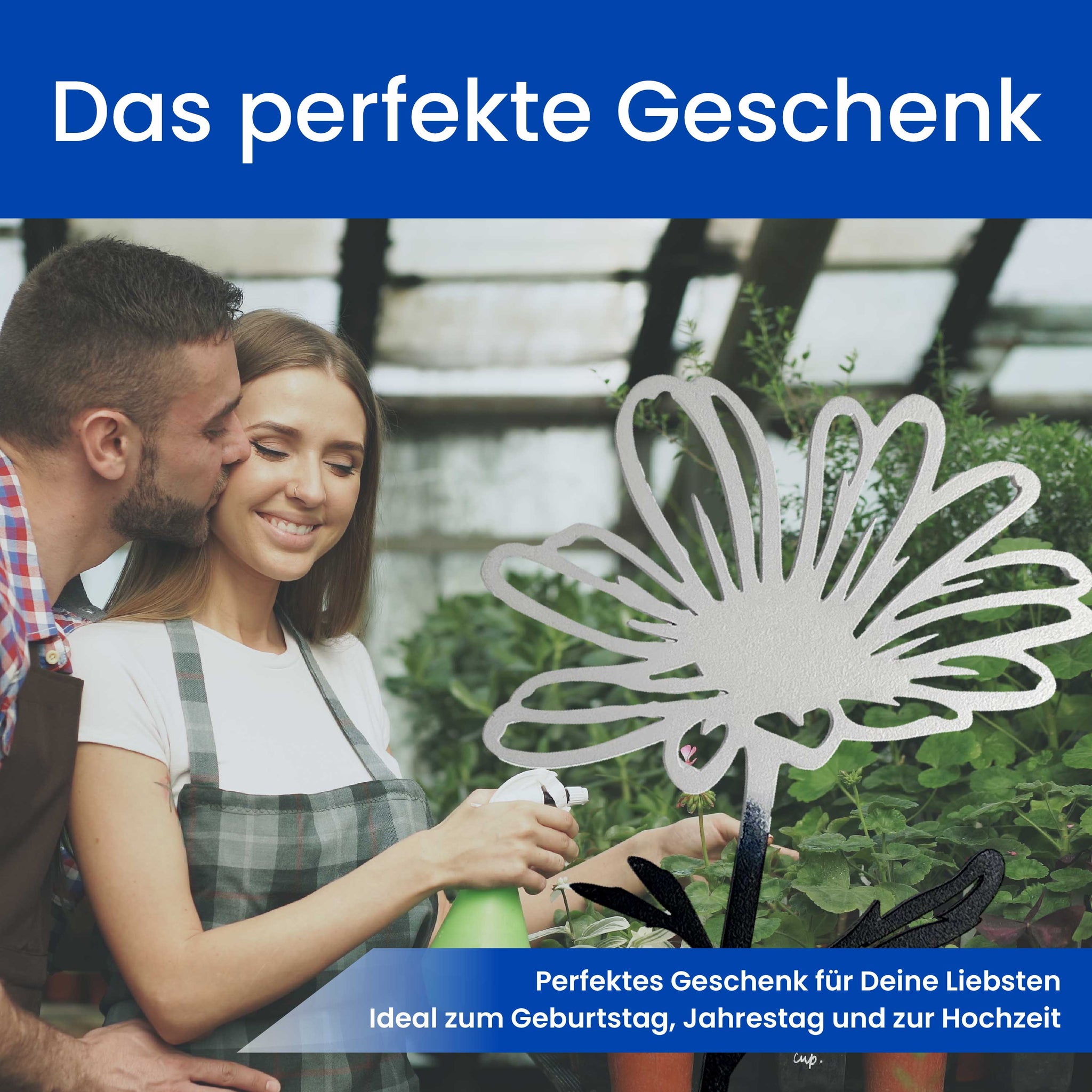 Die Margerite