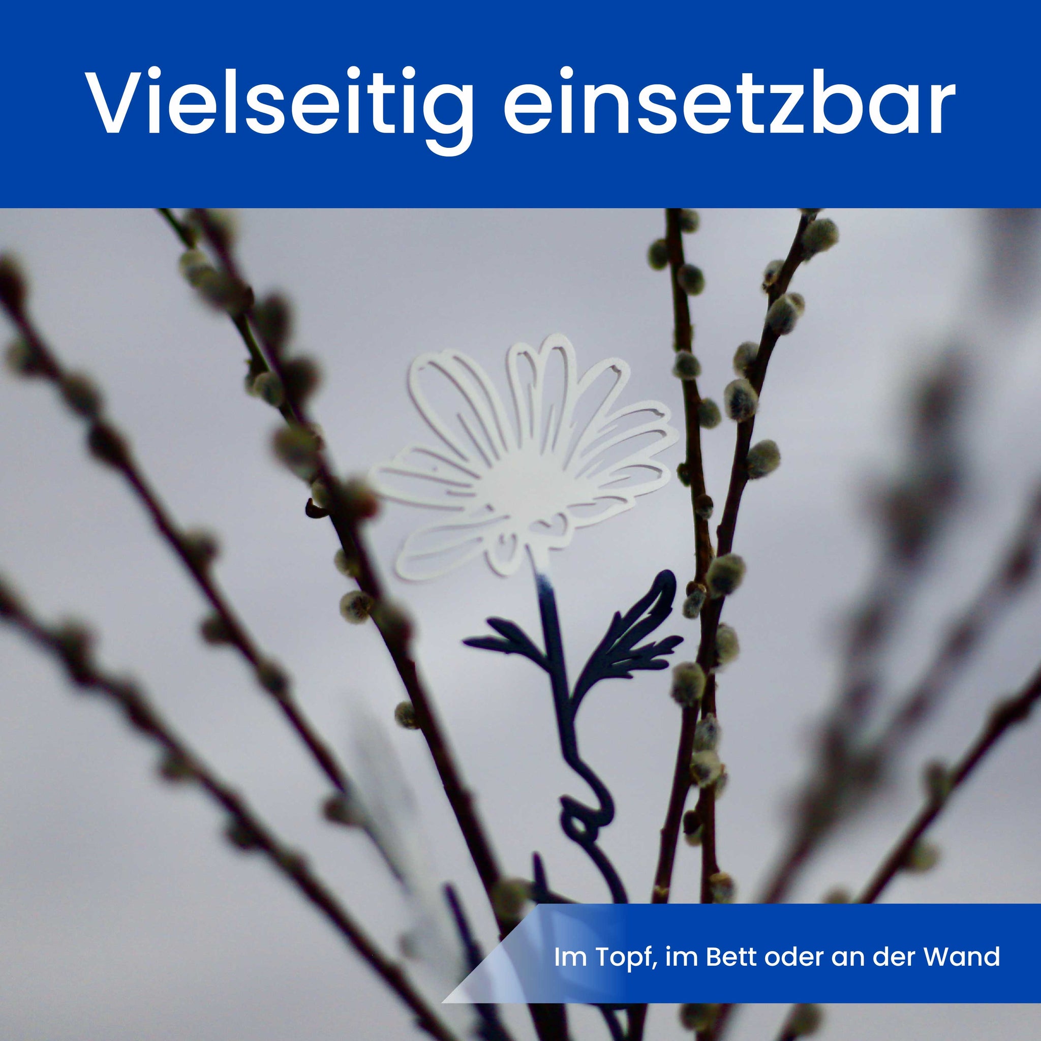 Die Margerite