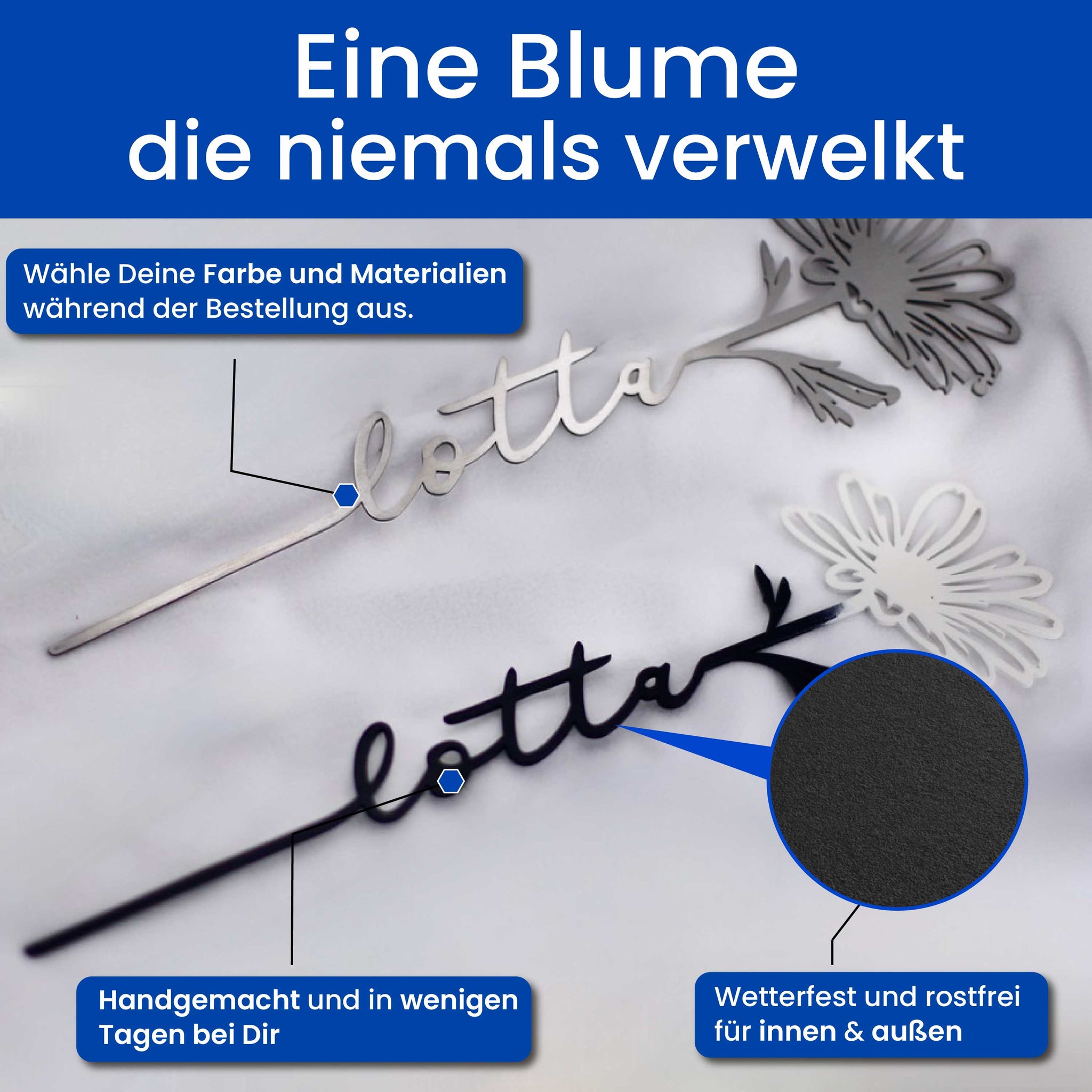 Die Margerite