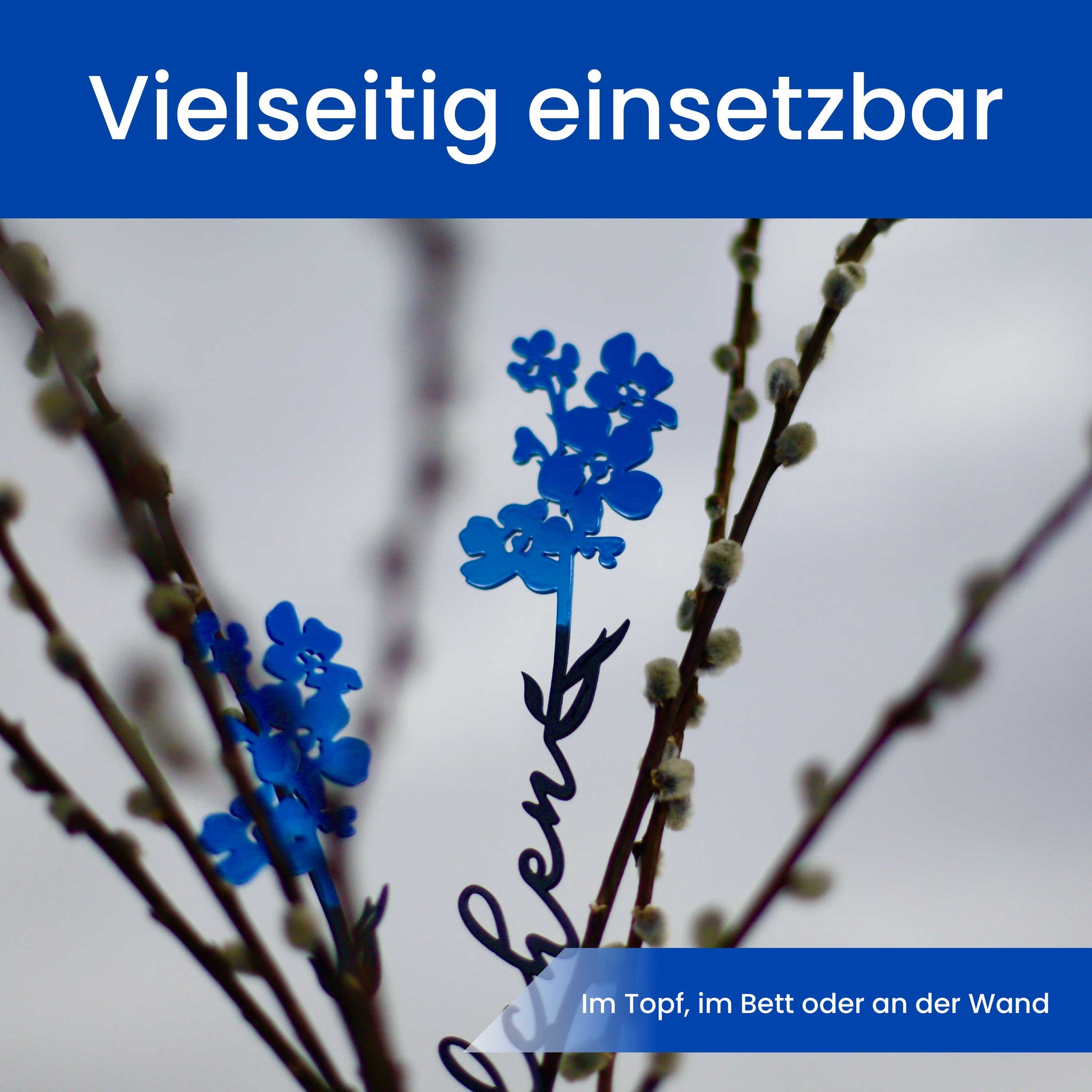 Das Vergissmeinnicht