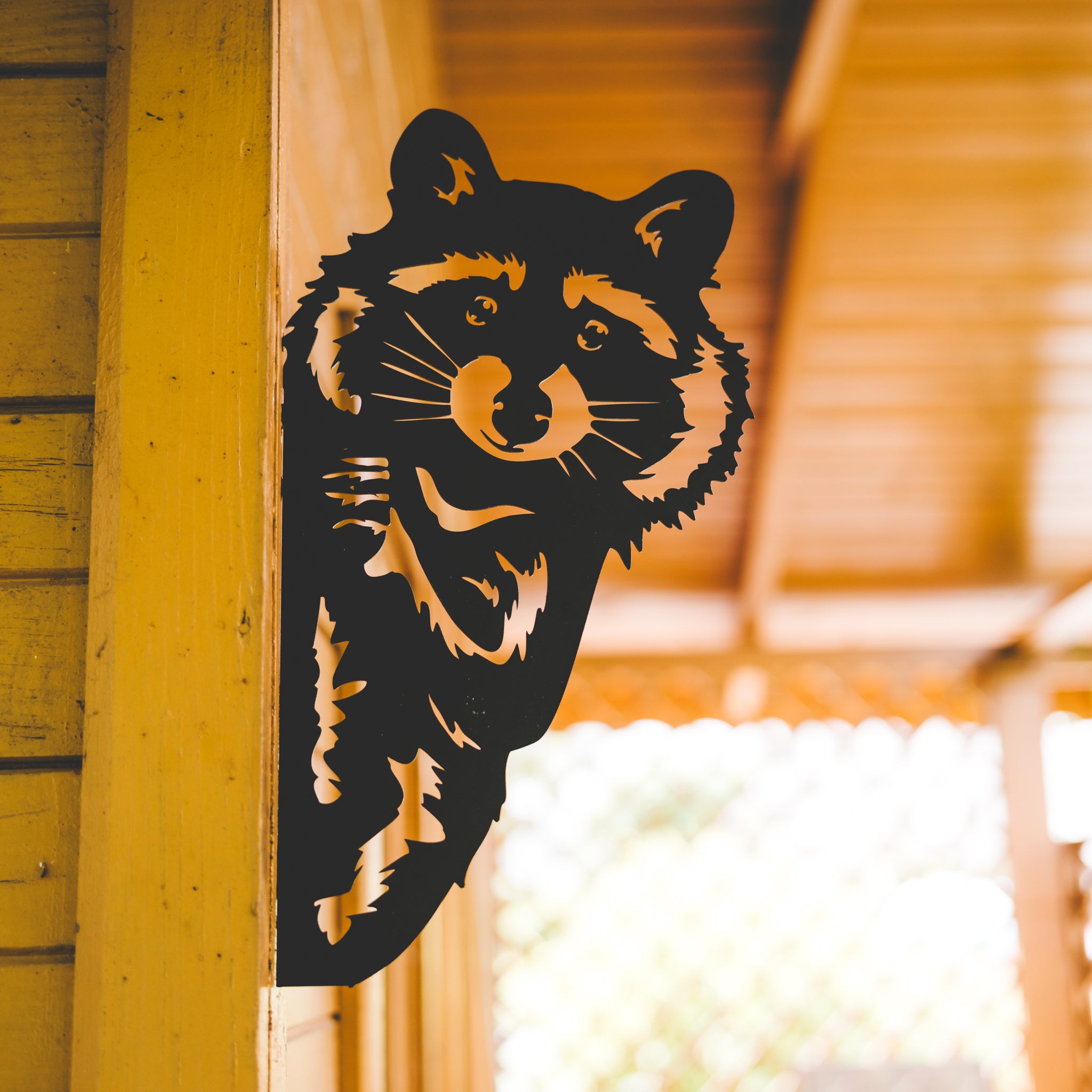 Waschbär