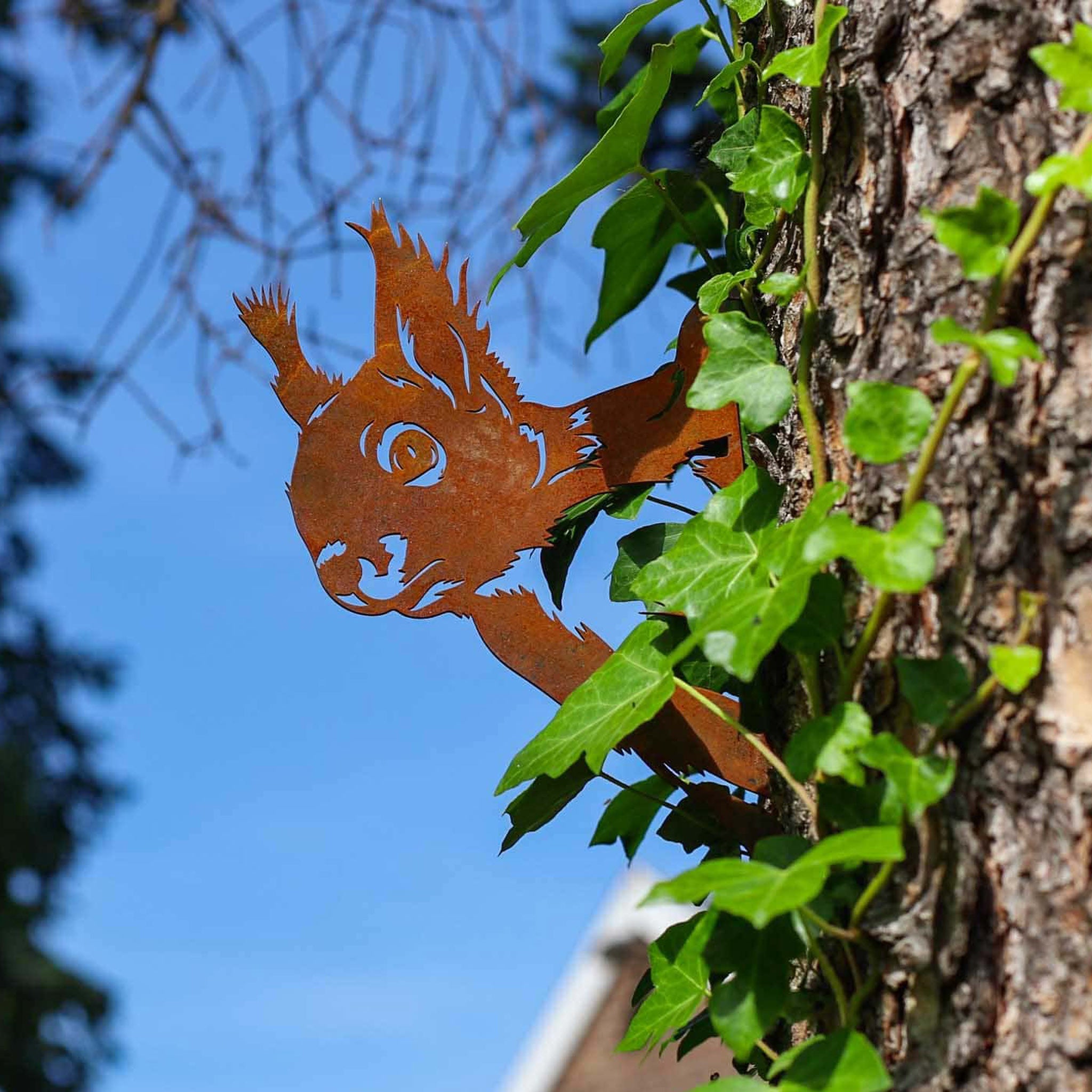Neugieriges Eichhörnchen